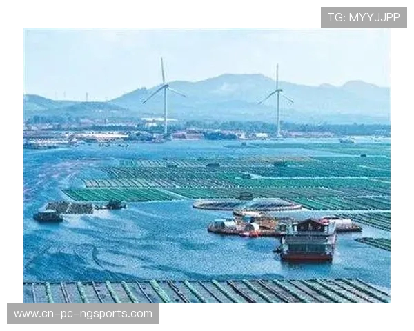 青岛国信水产打造现代海洋牧场助力海洋经济高质量发展 青岛国信水产打造现代海洋牧场助力海洋经济高质量发展