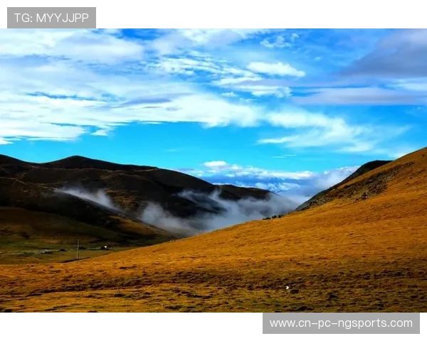 何思雨的成长之路与人生哲学探索:从平凡到卓越的心灵旅程 何思雨的成长之路与人生哲学探索:从平凡到卓越的心灵旅程